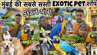 Start ₹150/|| सबसे सस्ती शॉप || Animals | Birds || cheapest Pet market in Mumbai | Wajid pet shop