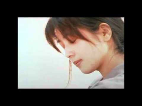 ZARD (+) Stray Love