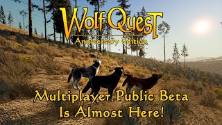 Multiplayer Public Beta is Almost Here!