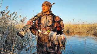 видео: Супер-охота на селезня | Стаи красноголовиков садились на голову картинка: Супер-охота на селезня | Стаи красноголовиков садились на голову