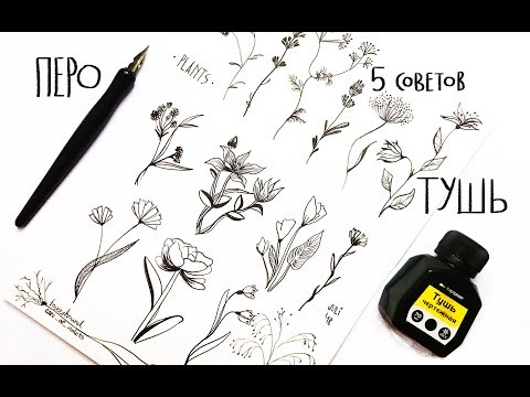 Перо и Тушь | 5 советов для рисования | speedpaint