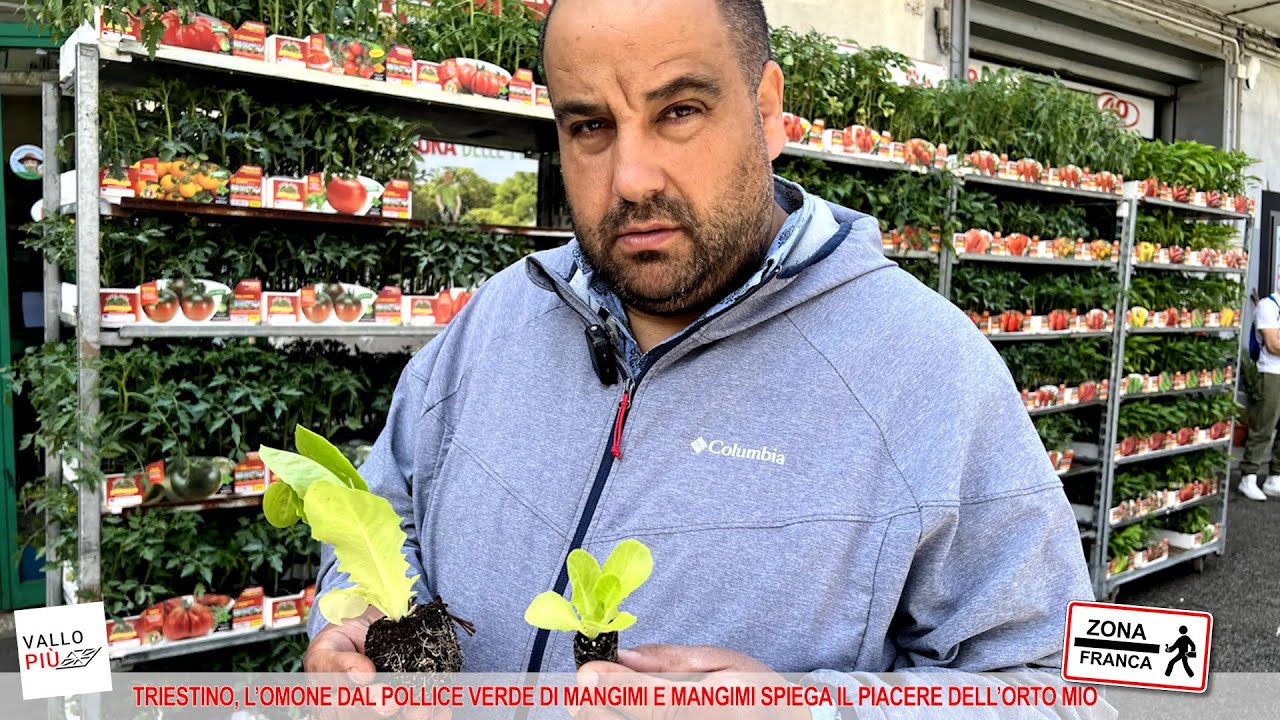 Lauren Ralph Lauren | Top Edmundo raso verde salvia – lemlò