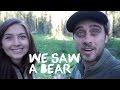 California Travel Vlog - We saw a black bear in Sequioa National Park