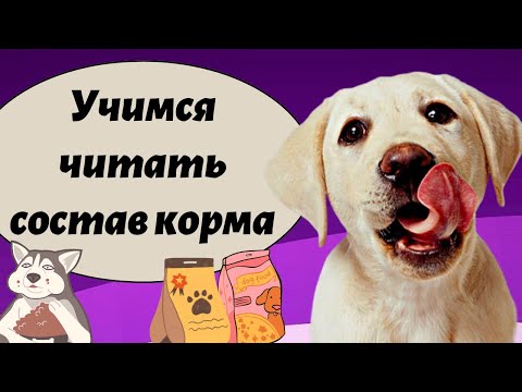 Как читать состав сухого корма.  Как выбрать сухой корм? /правильно выбираем сухой корм для собаки