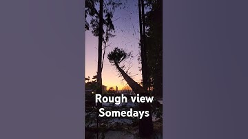 Sunset on Storm damage Fir mitigation #pnw #sunset #treework #wood #tree #chainsaw #treeremoval