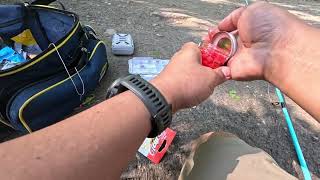 Spring Fishing at Mill Pond | Milton, On