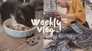 Weekly Studio Vlog | We adopted a KITTEN! Illustrating and Pottery