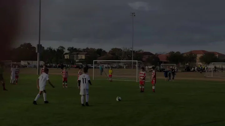 Adam Hales Goal Highlights 2018-2019
