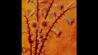 黒夢 (Kuroyume) - Aimed Blade At You