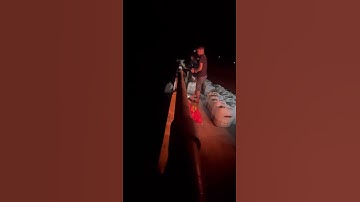 Cá lóc đầu nhím giống về Đăk Lăk . 0909770509 #cá_giống #trại_cá_giống_út_me #fishing