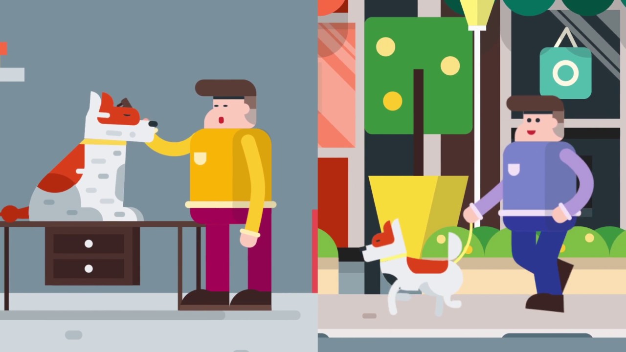 Bendigo Tafe Dog Grooming Course YouTube