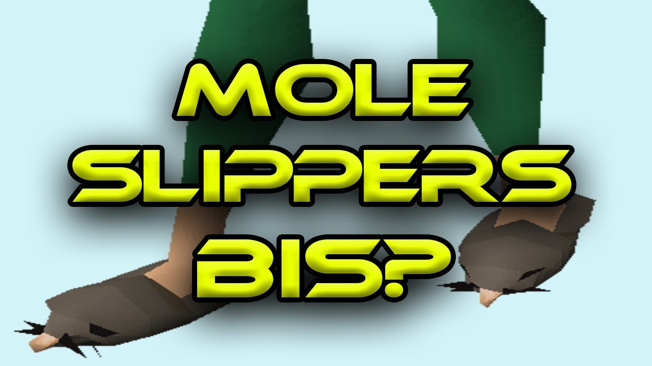 Enkelhed Pudsigt sælge NEW BIS ITEM: MOLE SLIPPERS? - YouTube