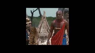 Ace Ventura Pet Detective 2 Top 10 Funniest Scenes