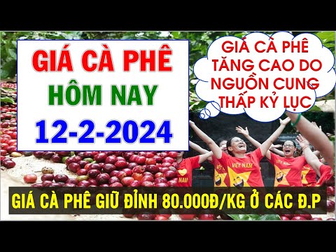 ผลสลากกินแบ่งรัฐบาล วันที่ 1 พย. 2567 ผลสลากกินแบ่งรัฐบาล วันที่ 1 พย. 2567
