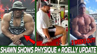 Shawn Rhoden SHOWS HIS PHYSIQUE! (2021) + Roelly Winklaar NEW UPDATE + Logan Franklin 3 Weeks OUT!