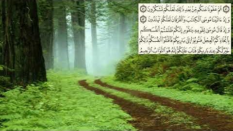 سعد الغامدي -سورة البقرة صفحة - 8- (page (alba9ra