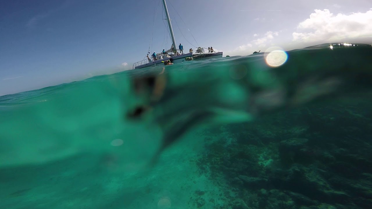 Snorkeling in Nassau Bahamas Feb 2020 YouTube