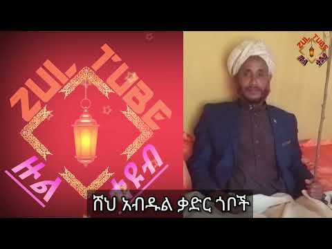 ቪዲዮ: ቃድር የቱን ዲሽ ነው የተሻለ ያደረገው?