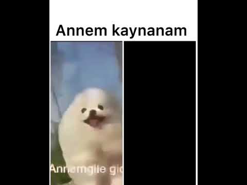 Anneme giderken vs kaynanama giderken ben(Vine) 😂😂🤣