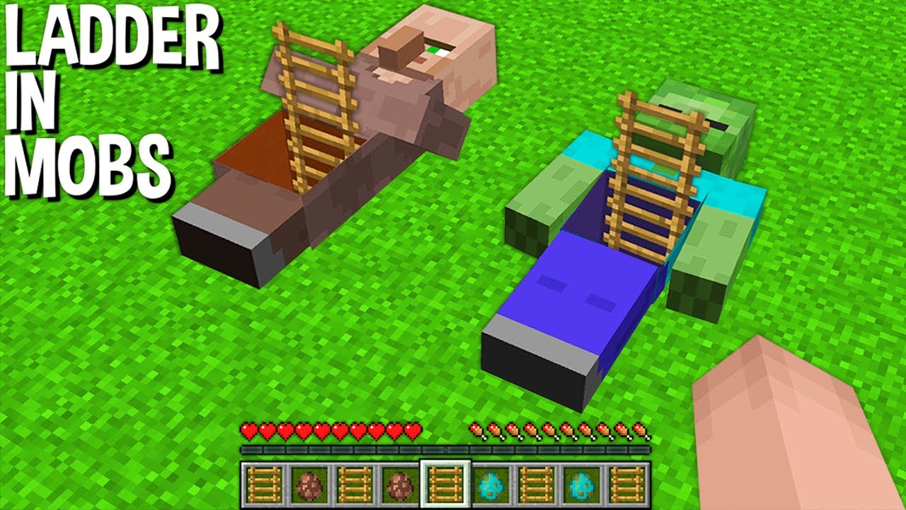 Where does lead this MYSICAL LADDER in VILLAGER and ZOMBIE in Minecraft ...
