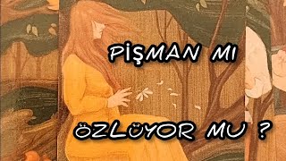 PİŞMAN MI , ÖZLÜYOR MU ? #tarotfalı #aklımdakikisi #erildişil #üçüncükişiler #soulmate