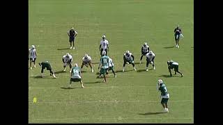 Nick Saban/Miami Dolphins Install: Pin 3 Buzz Mable