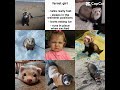 Ferret girl :D #shorts#@katseyeworld