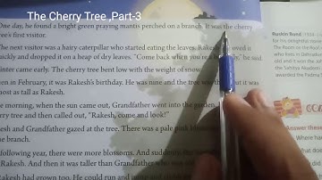 The Cherry Tree,Part-3