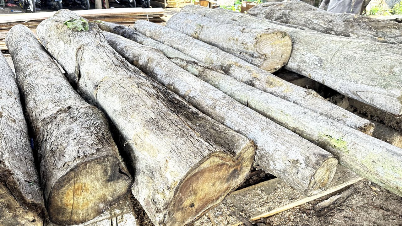 Indonesia Tolak Bantuan Asing, Ini Komentar Ahli UMY