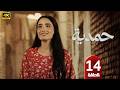 الحلقة 14 مسلسل حمدية بطولة أميمة جواد الشكرجي رمضان 2026