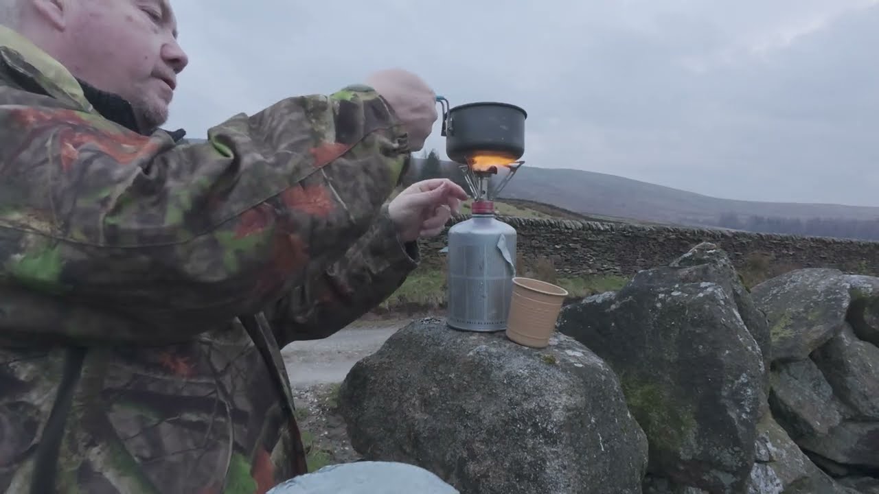 Looking For Wildlife