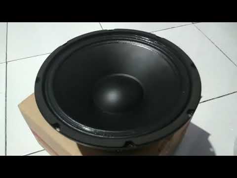 Speaker Fabulous 10 Inch - Unboxing