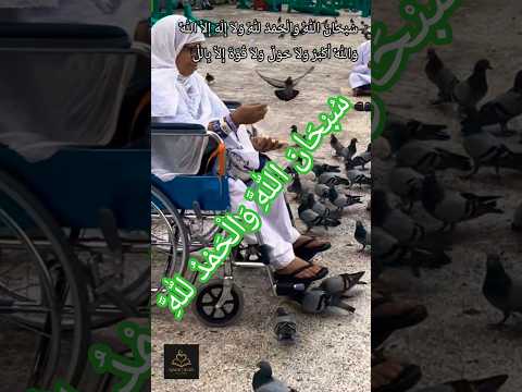 س ب ح ان الل ه و ال ح م د ل ل ه و لا إ ل ه إ لا الل ه و الل ه أ ك ب ر و لا