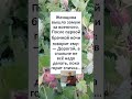 😂😂#юмор #смешновидео #смешнойшортс #ВЫШЛА ЗАМУЖ за ВОЕННОГО 😁👩🏻‍🦰👨🏻🤣