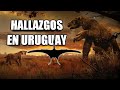 INCREÍBLES DESCUBRIMIENTOS en Uruguay!  #Pterosaurio #Perezoso gigante