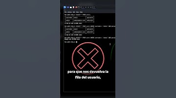 SQL Injection desde 0 #sqlinjection  #ciberseguridad #hackingetico #burpsuite