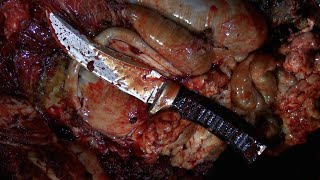 Как создаются охотничьи ножи ДЕНДРА(Ножи ДЕНДРА, сделанные для охоты, всегда изготавливаются, учитывая пожелания егерей и охотоведов, людей,..., 2014-12-22T16:45:41.000Z)