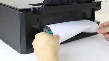 Removing jammed paper: inside rear cover (TS8200 series)
