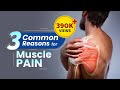 3 Common reasons for Muscle Pain & How to get rid of Muscle pain?