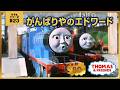 きかんしゃトーマス原作出版80周年記念 モデル&CGアニメシリーズ ザ・ベストコレクション【モデルアニメ No.23 がんばりやのエドワード】