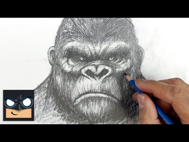 How To Draw King Kong | Sketch Saturday - Videos For Kids