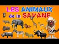 Foufou - Les Bébés des Animaux (Learn Animals Babies for Kids) 4K