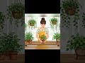 February 15, 2026#shorts #trending #manaintimuchatlu