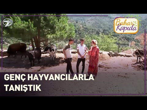 Yeni Nesil Hayvancılar, Aydın Söke'den Umut Veriyor | Bahar Kapıda | Aydın