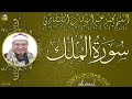 الشيخ محمد عبد الوهاب الطنطاوى ماتيسر من سورة الملك 
