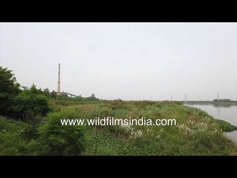 Yamuna River and passing vehicles on a bridge amid industrial infrastructure
