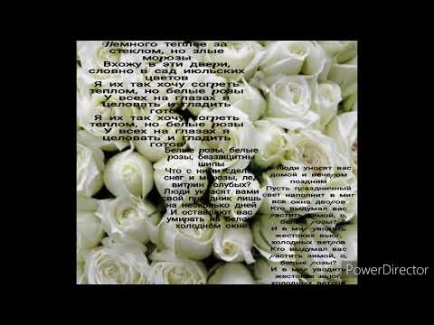 Юрий Шатунов-"Белые розы " с текстом