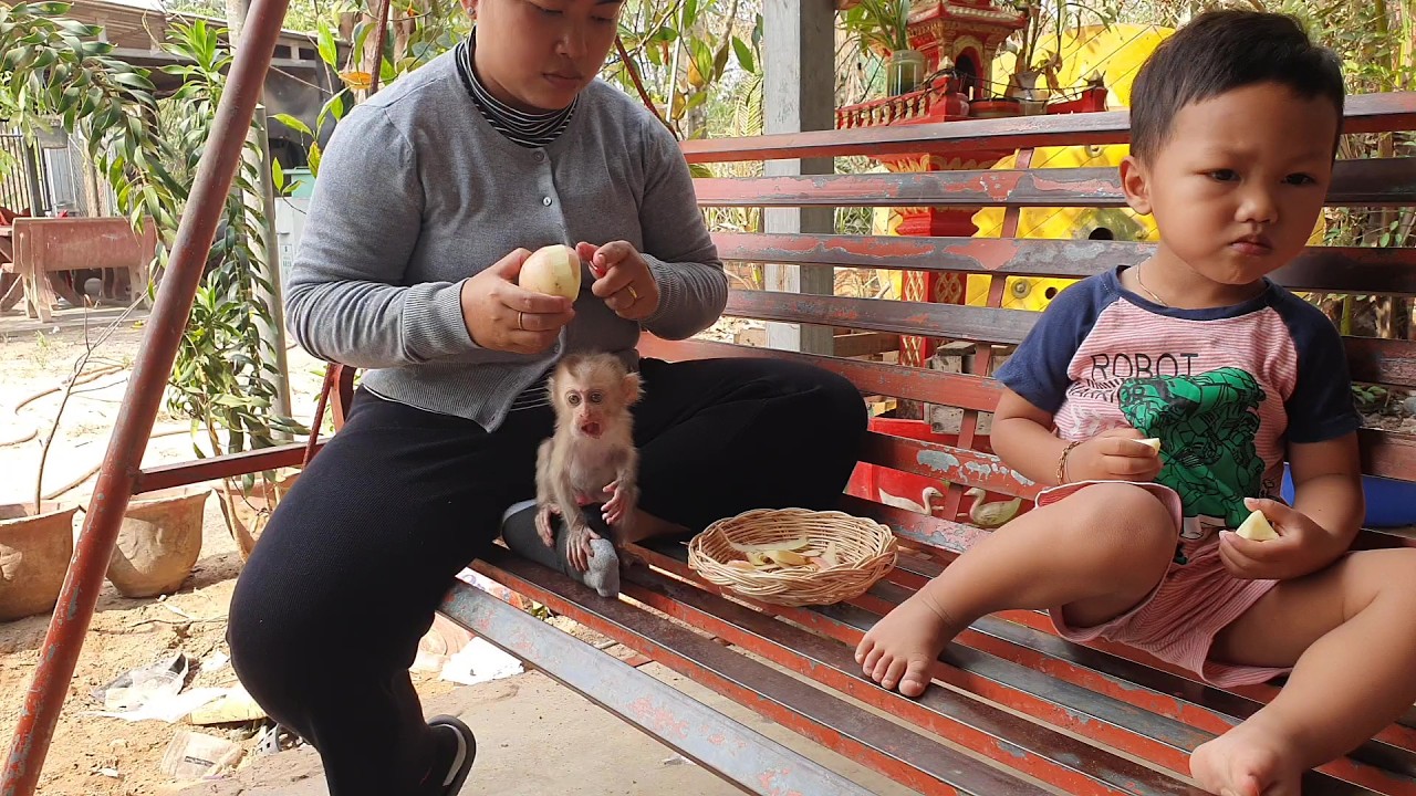After noon sleep brother with monkey eat apple together