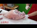 돼지 뒷다리 발골pig's hind leg work