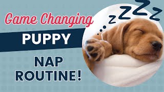 Tips to Get Puppy Sleeping Faster